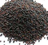 Mustard seeds Brown 500g - Click Image to Close
